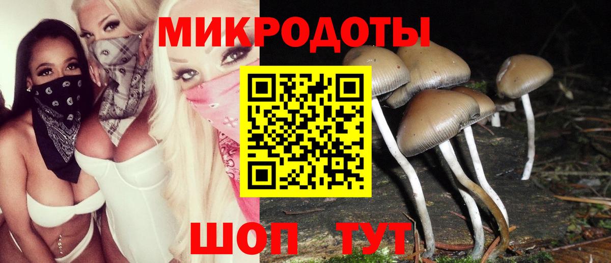 сколько стоит  Псилоцибиновые грибы прущие грибы  Курчалой  Вход с VPN  Псилоцибиновые грибы ЛСД 